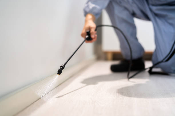 Rodent Entry Point Assessment in South Bend