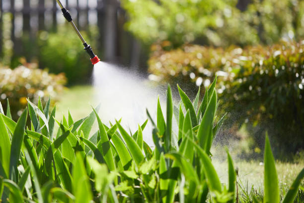Tamper-Resistant Bait Stations for Rodents in South Bend