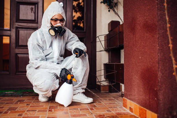 Attic and Crawl Space Rodent Treatment in South Bend