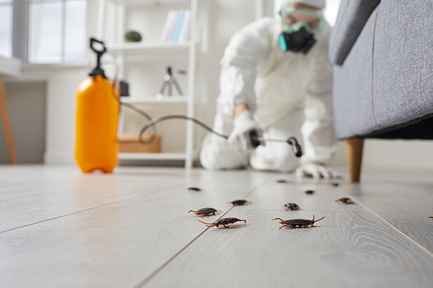 Commercial Rodent Management in South Bend